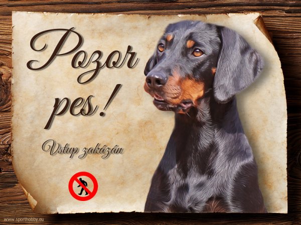 Cedulka Rakouský hladkosrstý brakýř - Pozor pes zákaz