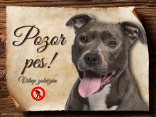 Cedulka Americký pitbulterier - Pozor pes zákaz