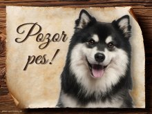 Cedulka Finský laponský pes - Pozor pes