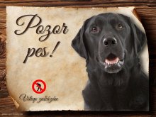 Cedulka Labrador retrívr - Pozor pes zákaz