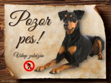 Cedulka Německý pinč II - Pozor pes zákaz