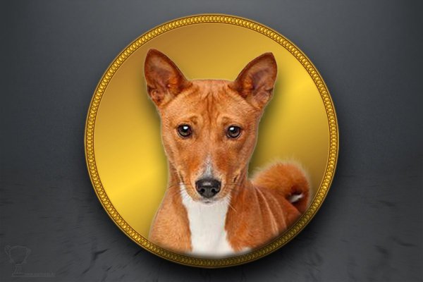 Emblém "Basenji" GL309