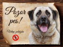Cedulka Anatolský pastevecký pes - Pozor pes zákaz