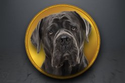 Emblém "Cane Corso" GL316