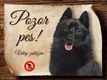 Cedulka Šiperka - Pozor pes zákaz