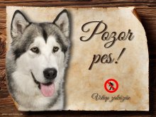 Cedulka Aljašský malamut - Pozor pes zákaz