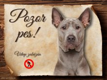 Cedulka Thajský Ridgeback - Pozor pes zákaz
