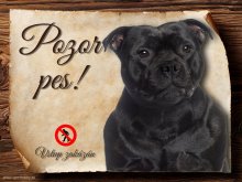 Cedulka Stafordšírský bulteriér - Pozor pes zákaz