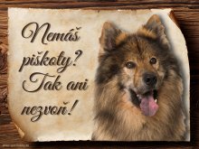 Cedulka Eurasier II - Piškoty