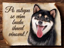 Cedulka Shiba-Inu II - Po vstupu ...