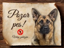 Cedulka Německý ovčák II - Pozor pes zákaz