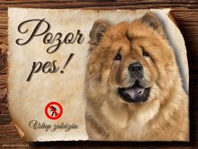 Cedulka Čau čau - Pozor pes zákaz