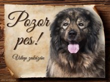 Cedulka Šarplaninský pastevecký pes - Pozor pes zákaz