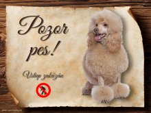 Cedulka Pudl IV - Pozor pes zákaz