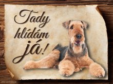 Cedulka  Airedalský Terrier - Tady hlídám já