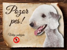 Cedulka Bedlington teriér - Pozor pes zákaz