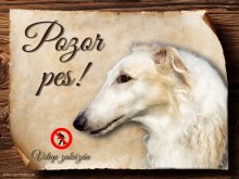 Cedulka Barzoj - Pozor pes zákaz