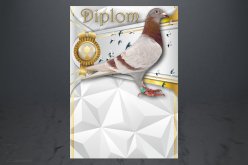 Diplom poštovní holub D150