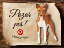 Cedulka Basenji - Pozor pes zákaz