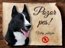 Cedulka Ruskoevropská lajka - Pozor pes zákaz