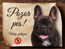 Cedulka Francouzský buldoček - Pozor pes zákaz