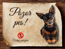 Cedulka Pražský krysařík - Pozor pes zákaz