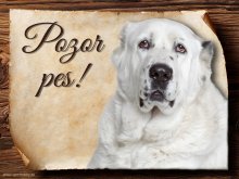Cedulka Středoasijský pastevecký pes - Pozor pes