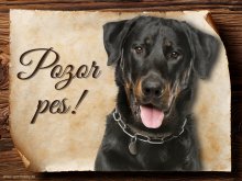 Cedulka Beauceron - Pozor pes