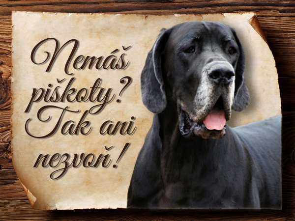Cedulka Německá doga III - Piškoty
