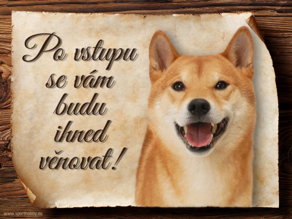 Cedulka Shiba-Inu - Po vstupu ...