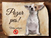 Cedulka Čivava III - Pozor pes zákaz
