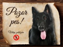 Cedulka Belgický ovčák Groenendae - Pozor pes zákaz