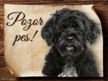 Cedulka Portugalský vodní pes - Pozor pes