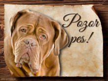Cedulka Bordeauxská doga - Pozor pes