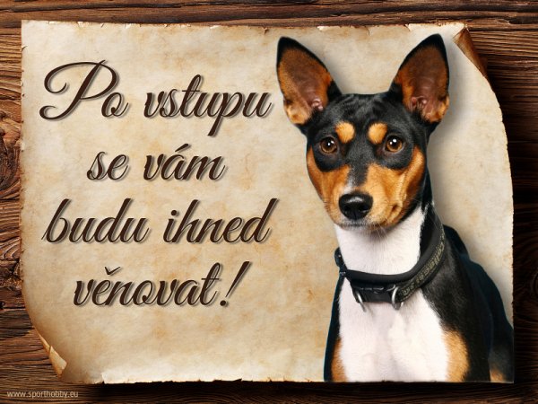 Cedulka Basenji - Po vstupu ...