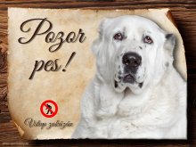 Cedulka Středoasijský pastevecký pes - Pozor pes zákaz