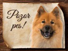 Cedulka Eurasier - Pozor pes