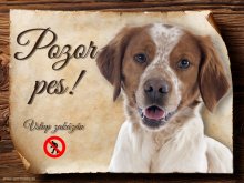 Cedulka Bretaňský ohař - Pozor pes zákaz