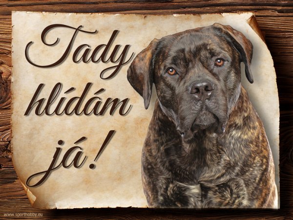 Cedulka Boerboel - Tady hlídám já