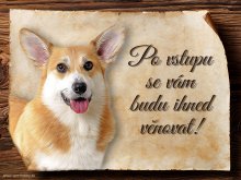 Cedulka Welsh Corgi Pembroke - Po vstupu ...