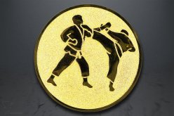 Emblém karate, zlato EM78