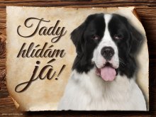 Cedulka Landseer - Tady hlídám já