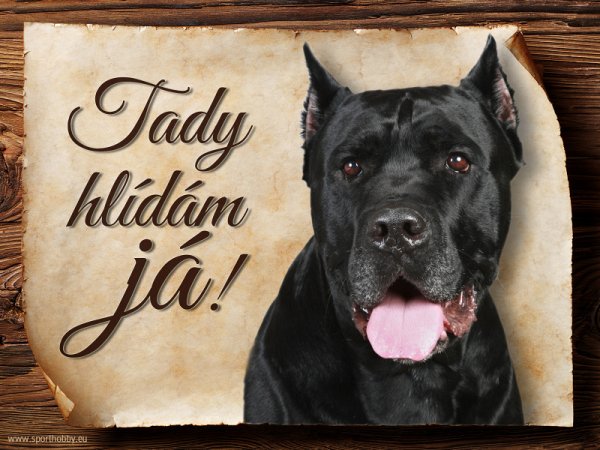 Cedulka Cane corso - Tady hlídám já!