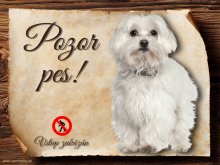 Cedulka Maltézský psík - Pozor pes zákaz