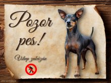 Cedulka Německý trpasličí pinč - Pozor pes zákaz