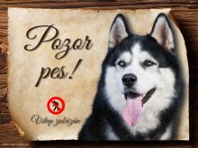 Cedulka Husky II - Pozor pes zákaz