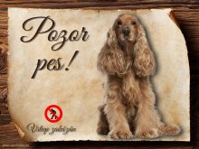 Cedulka Anglický kokršpaněl - Pozor pes zákaz
