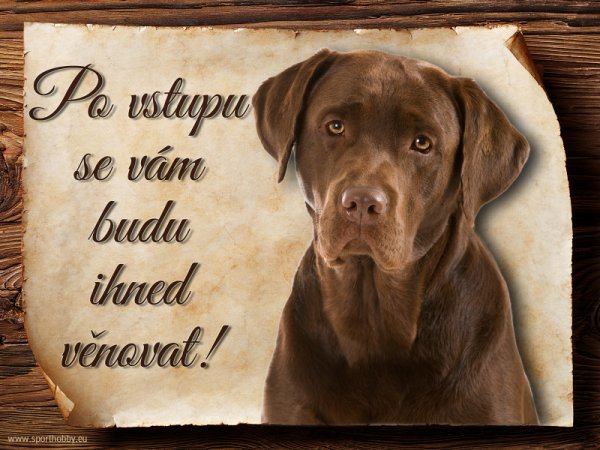 Cedulka Labrador retrívr - Po vstupu ...