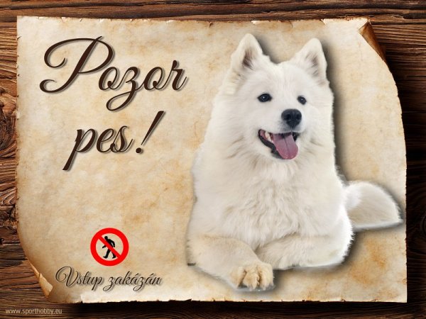 Cedulka Samojed - Pozor pes zákaz