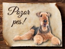 Cedulka  Airedalský Terrier - Pozor pes